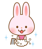 Rabbit washing hands