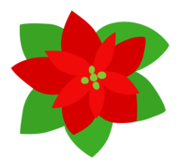 Poinsettia