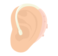 Ear and hearing aid