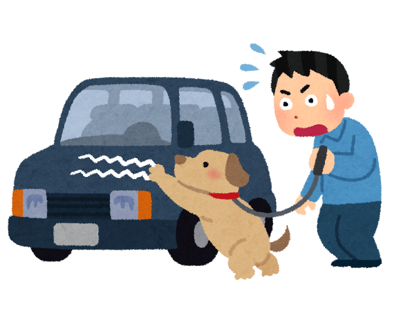 車を傷つけるペットの犬