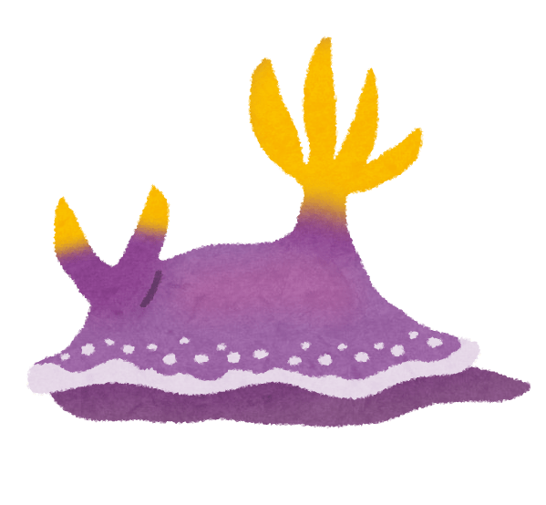 灰姑娘海蛞蝓