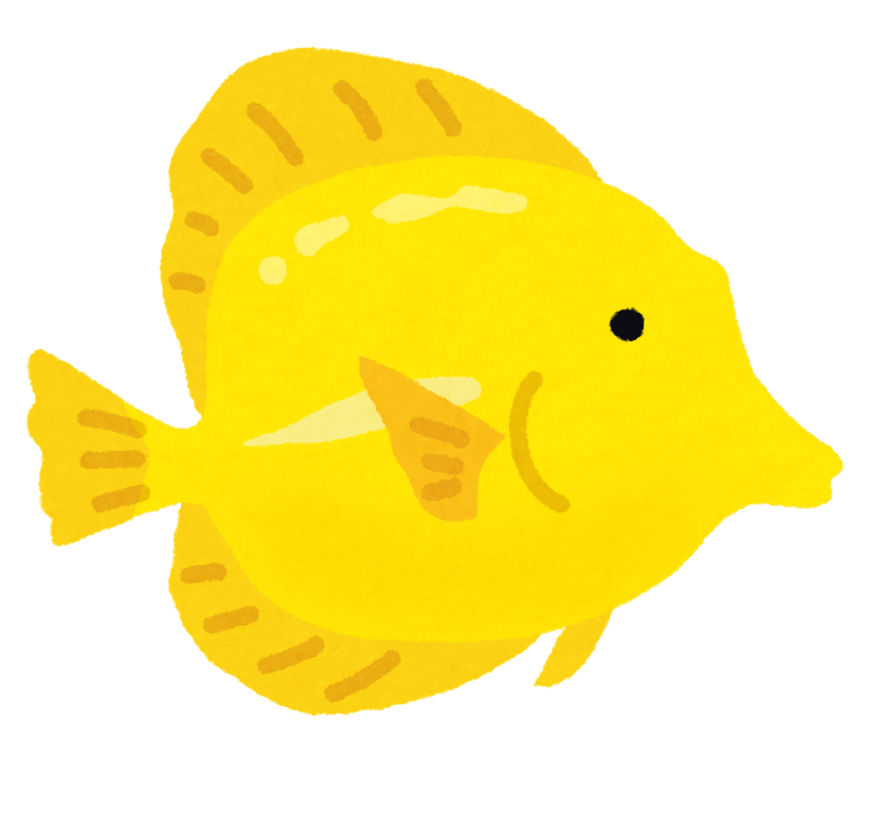 キイロハギ(熱帯魚)