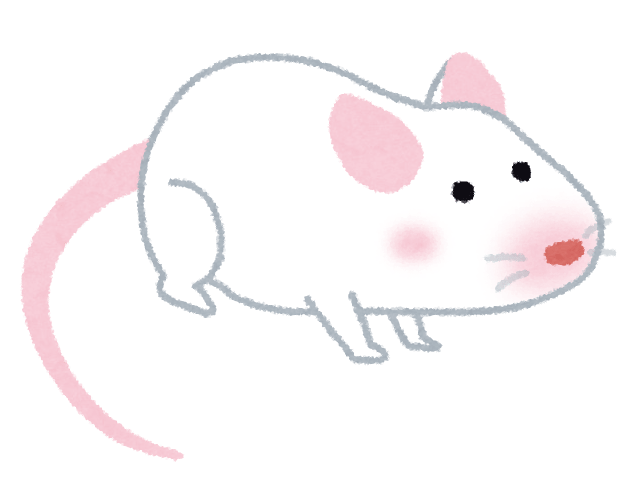 白いマウス-ハツカネズミ