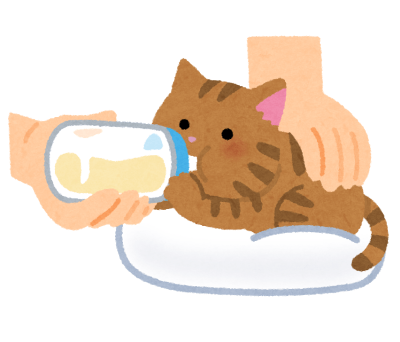哺乳瓶でミルクを飲む子猫(うつ伏せ)
