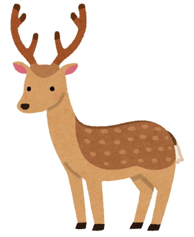 日本鹿(有角)