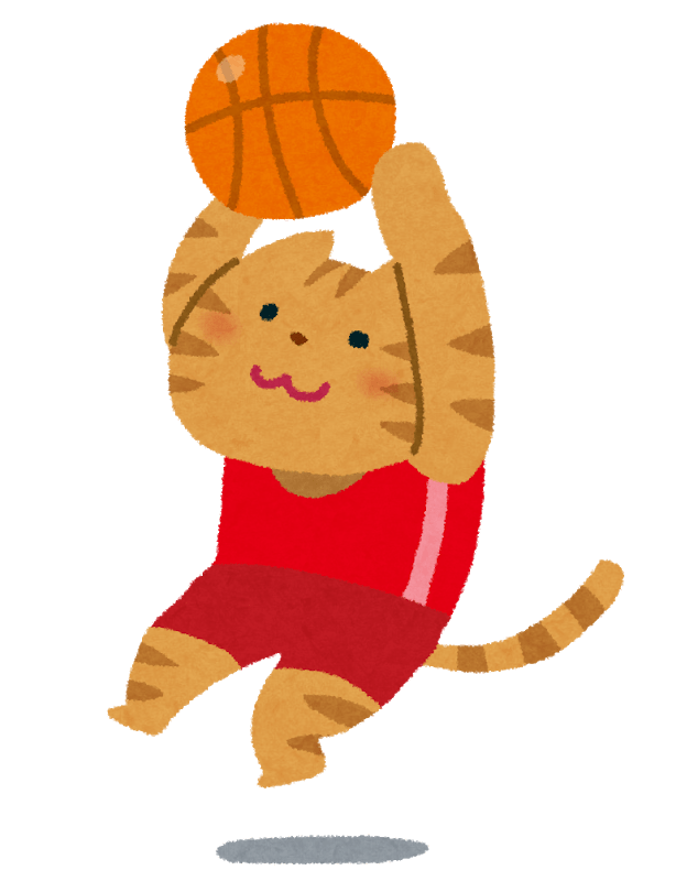 バスケットボールをする猫