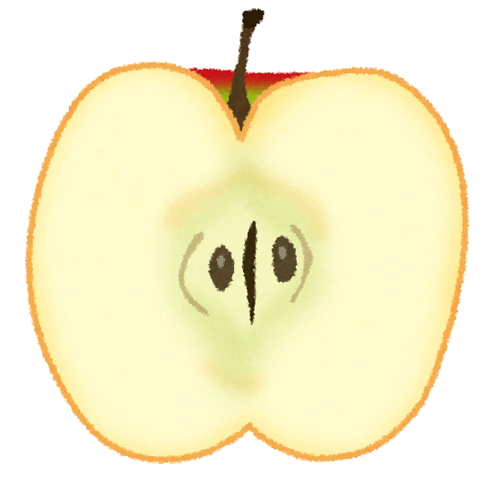 リンゴの断面