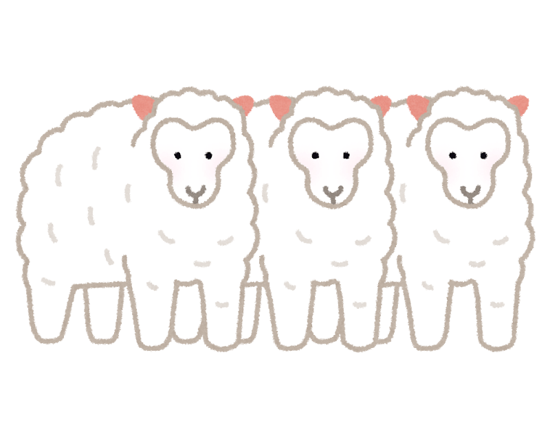 Clone sheep
