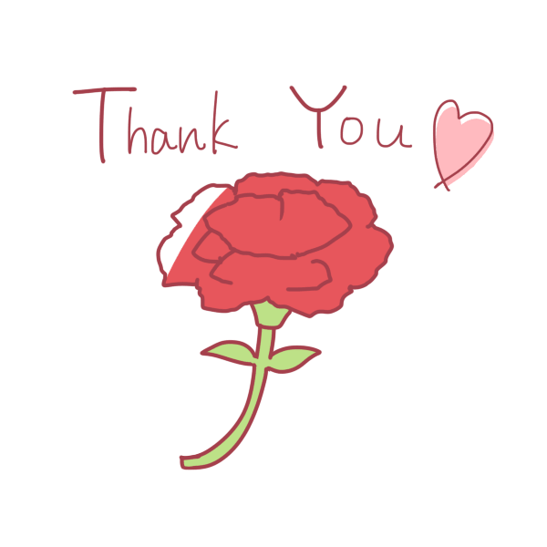 "谢谢你"文字和康乃馨