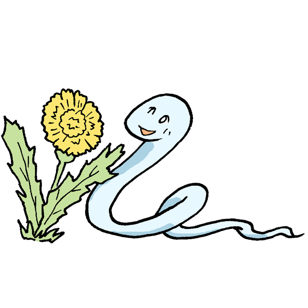 蛇とタンポポ