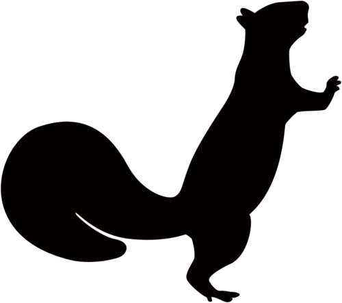 Squirrel silhouette picture