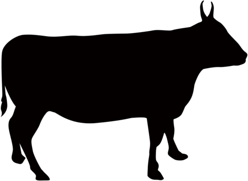 牛の影絵