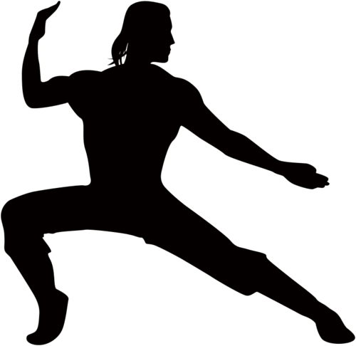 Kung fu material (vector silhouette)