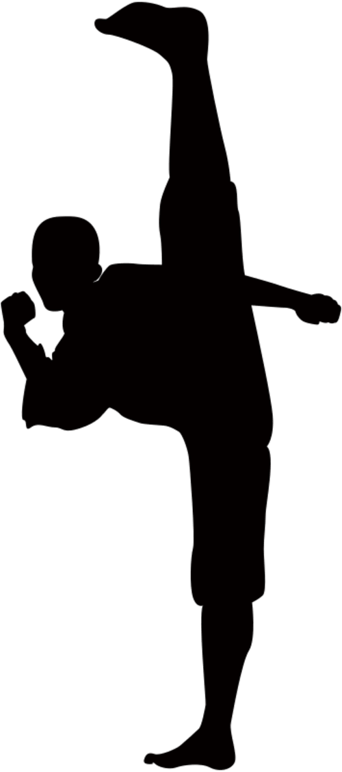 Kung fu material (vector silhouette)