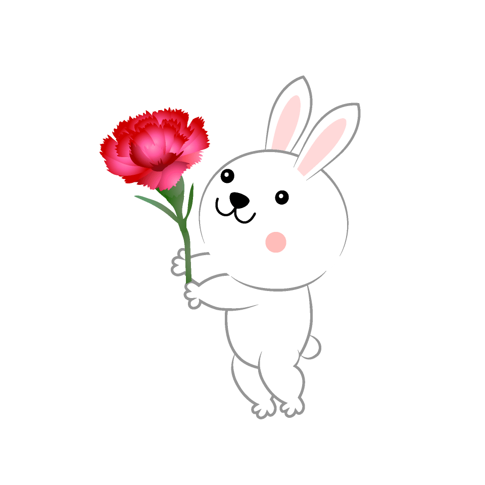 送给你康乃馨的兔子