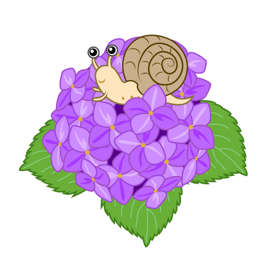 绣球花蜗牛