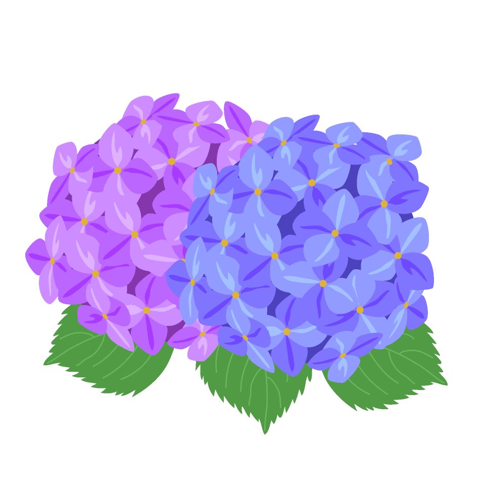 [最も欲しかった] 紫陽花 イラスト かわいい 簡単 636847-紫陽花 イラスト かわいい 簡単 - Apixtursaepirqq