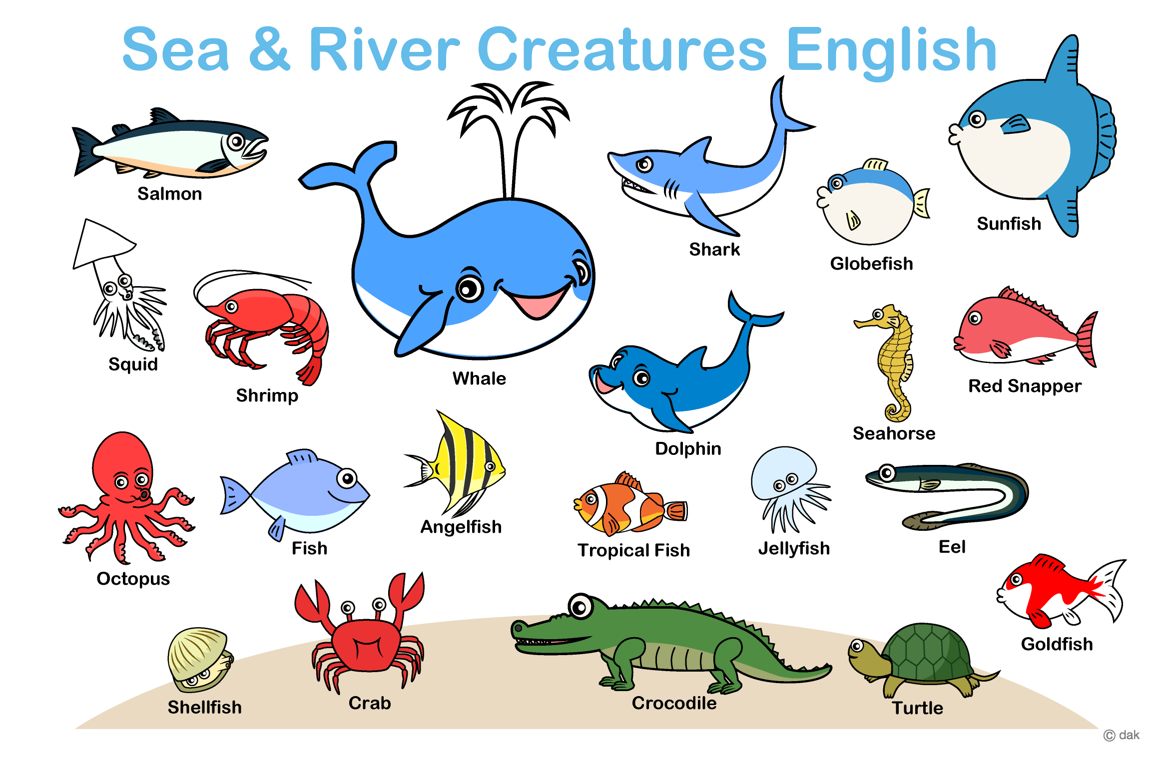 Fishing на английском. Рыба по английскому. Все рыбы по английскому. Разные рыбы на английском языке. Fish картинка для детей на английском.