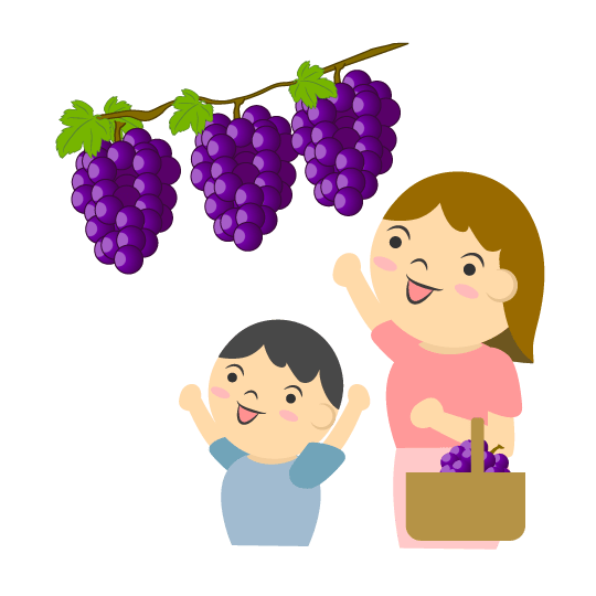 全家采摘葡萄