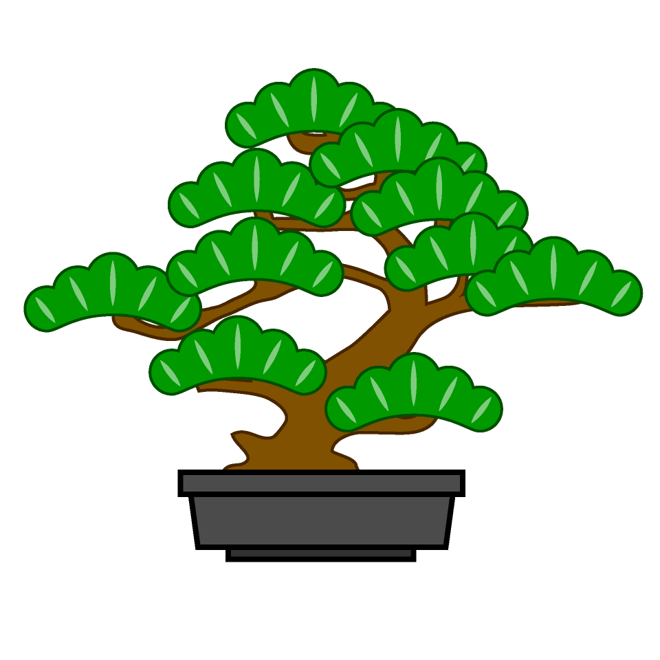 盆栽の松