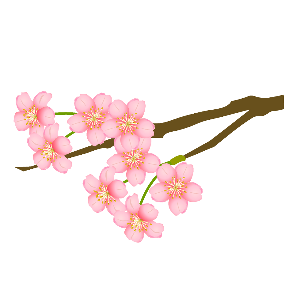 枝に咲く桜の花 イラスト素材 超多くの無料かわいいイラスト素材