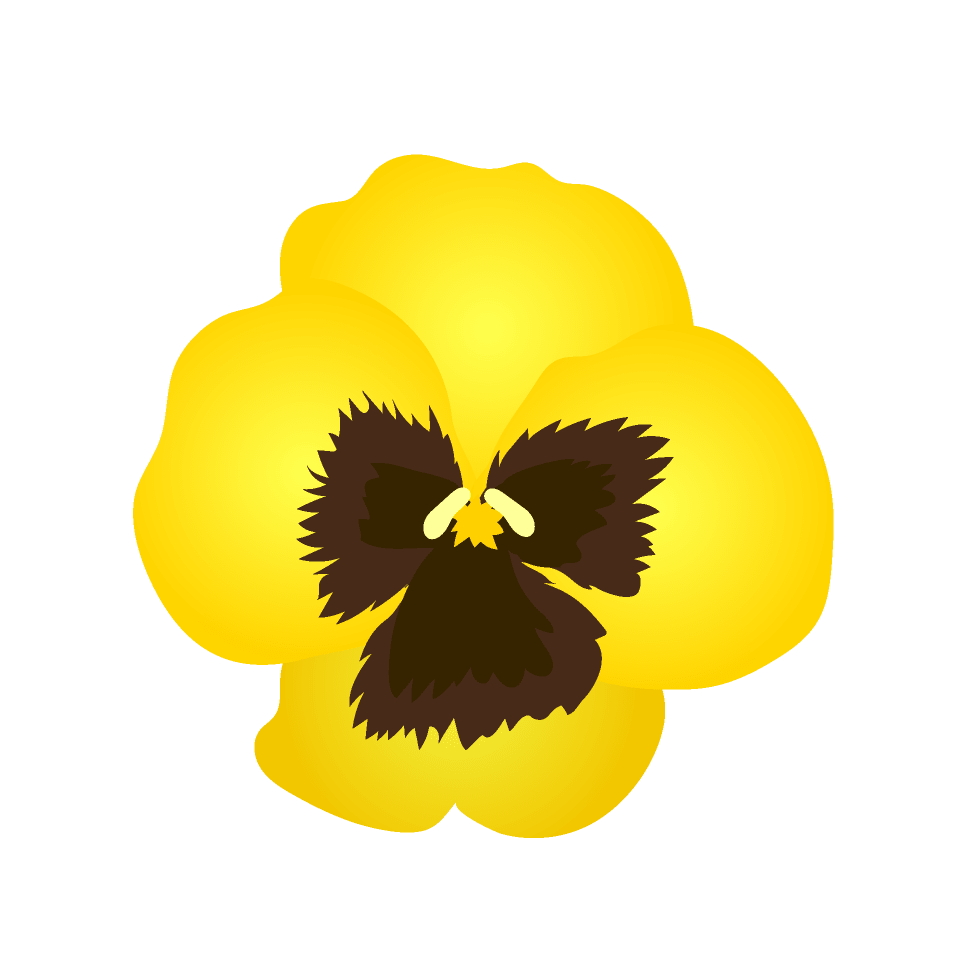 黄色パンジーの花 イラスト素材 超多くの無料かわいいイラスト素材