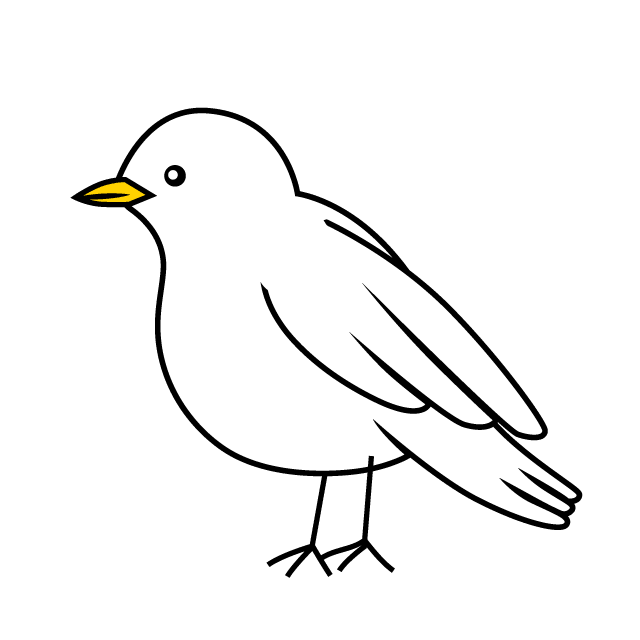 白い小鳥