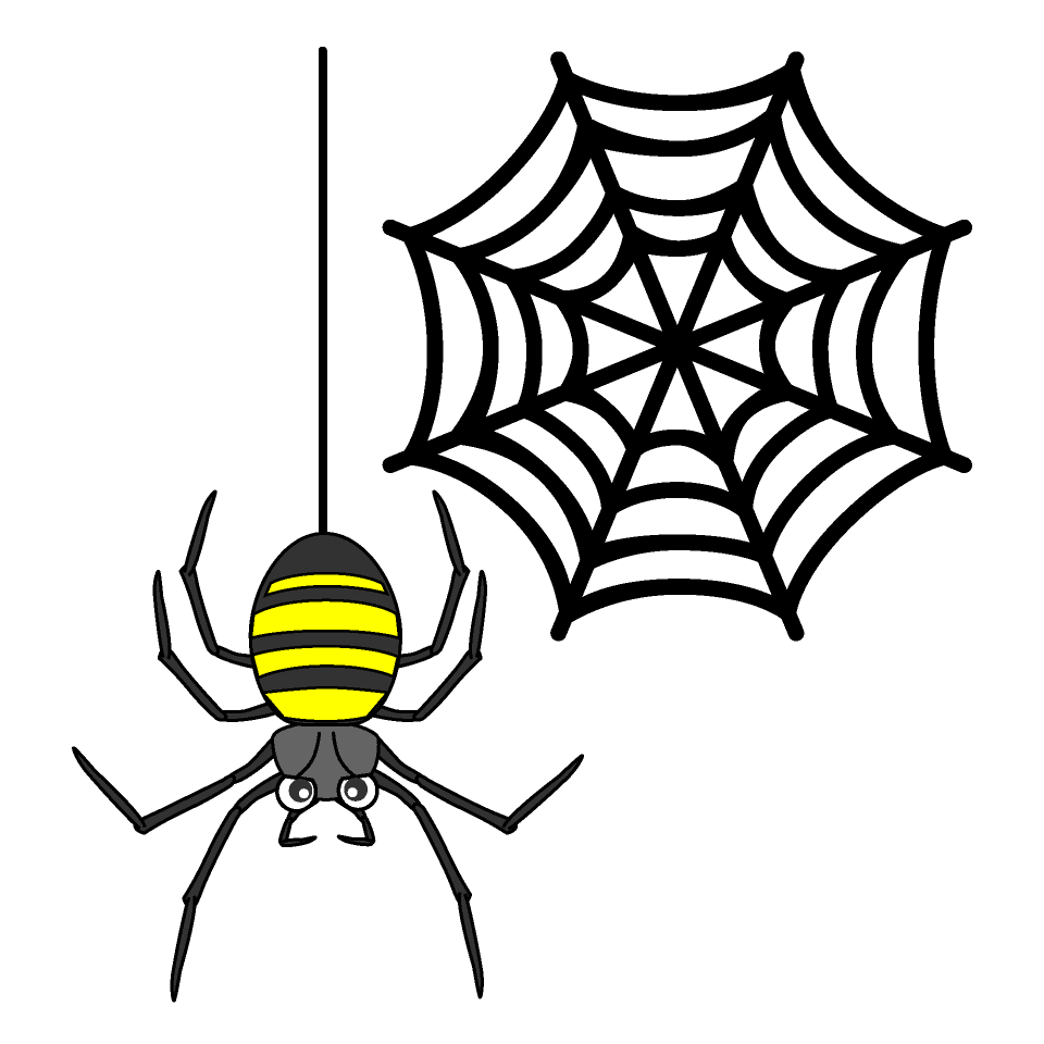 蜘蛛と蜘蛛の巣