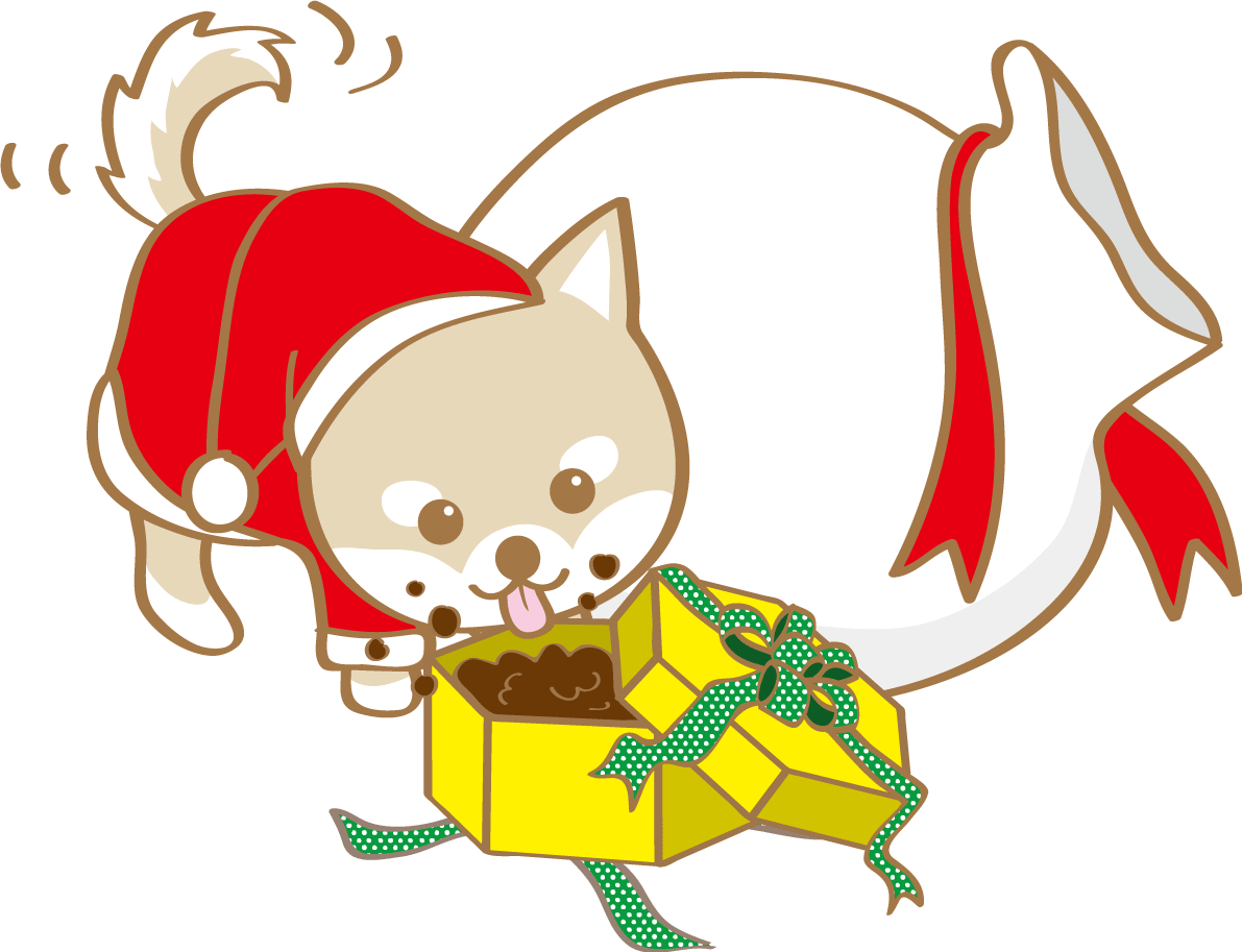 圣诞节(吃礼物的芝犬圣诞老人)