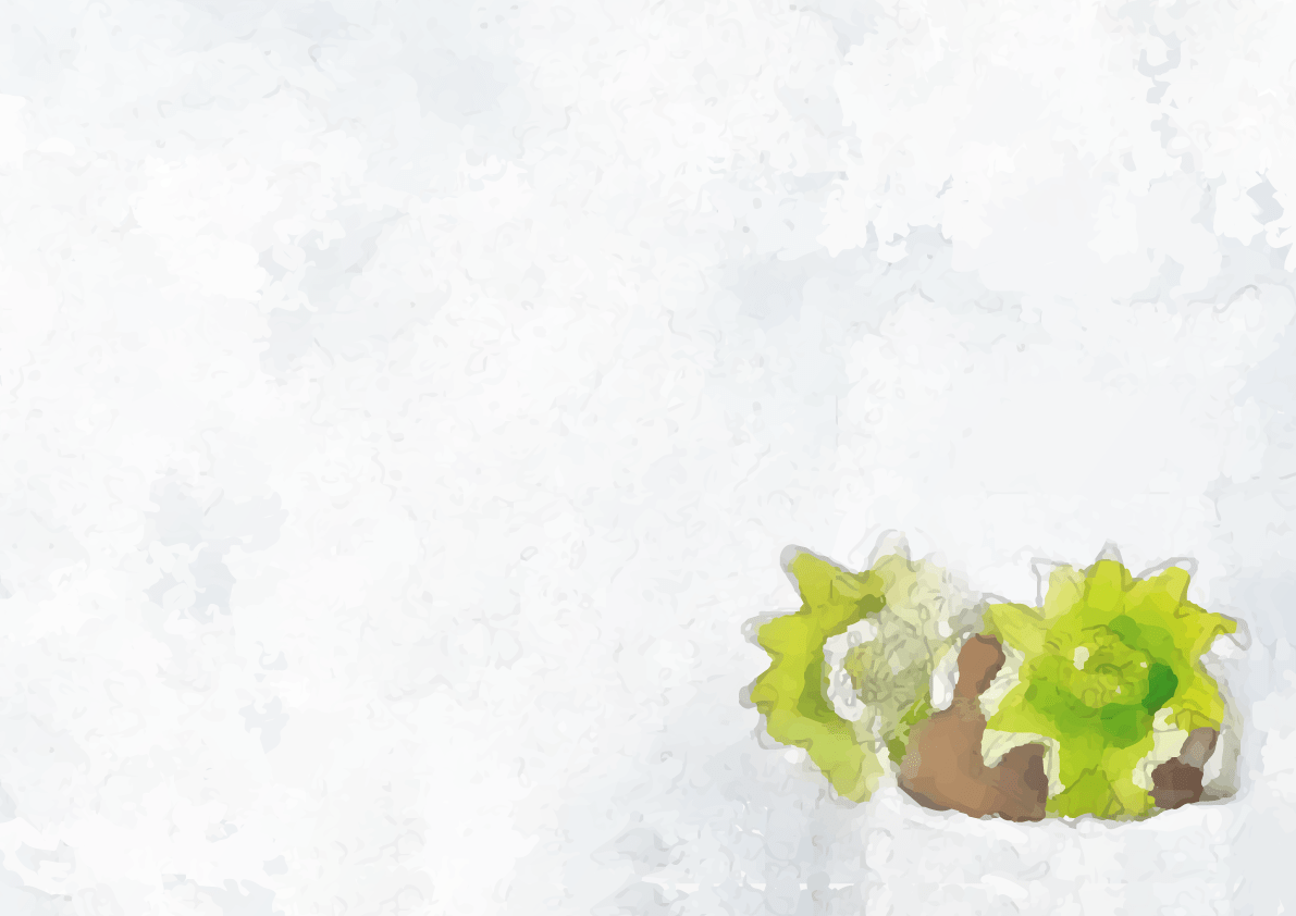 雪の中からフキノトウが芽を出す背景 イラスト素材 超多くの無料かわいいイラスト素材