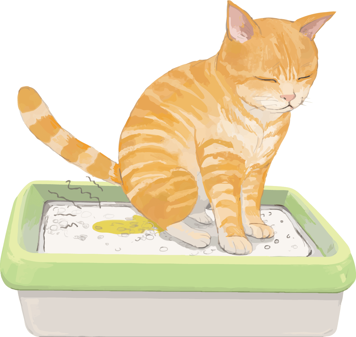 猫 トラ柄の雑種ミックス おしっこしたら臭い イラスト素材 超多くの無料かわいいイラスト素材