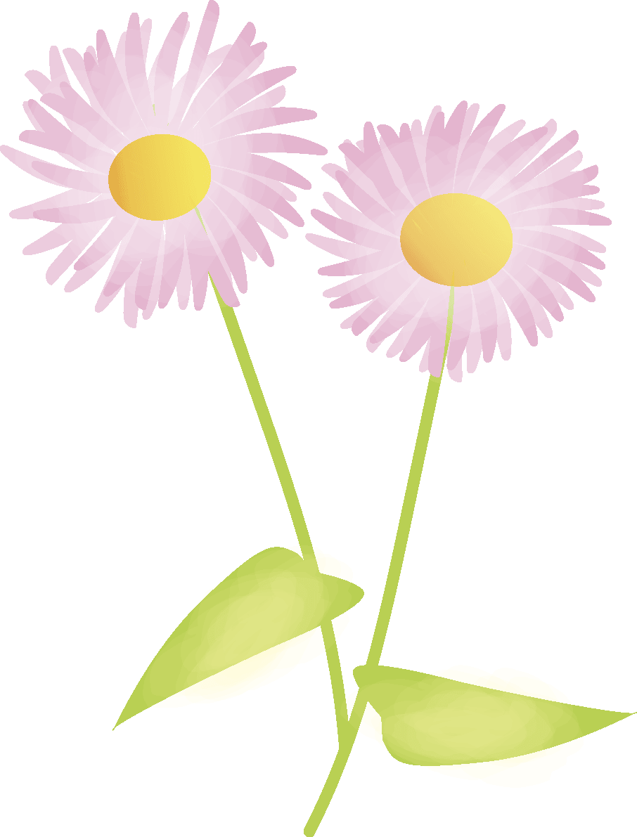 春紫苑(はるじおん)(花)春