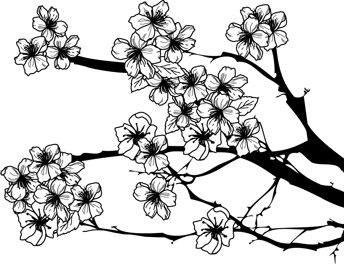 白黒の桜イラスト-おしゃれ(枝と花びら)