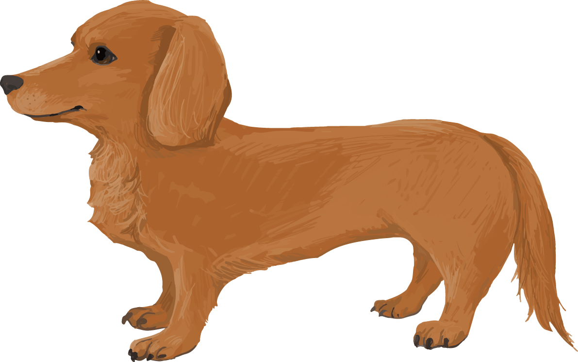 ミニチュア ダックスフンドの横向き リアル犬の手書き風 イラスト素材 超多くの無料かわいいイラスト素材