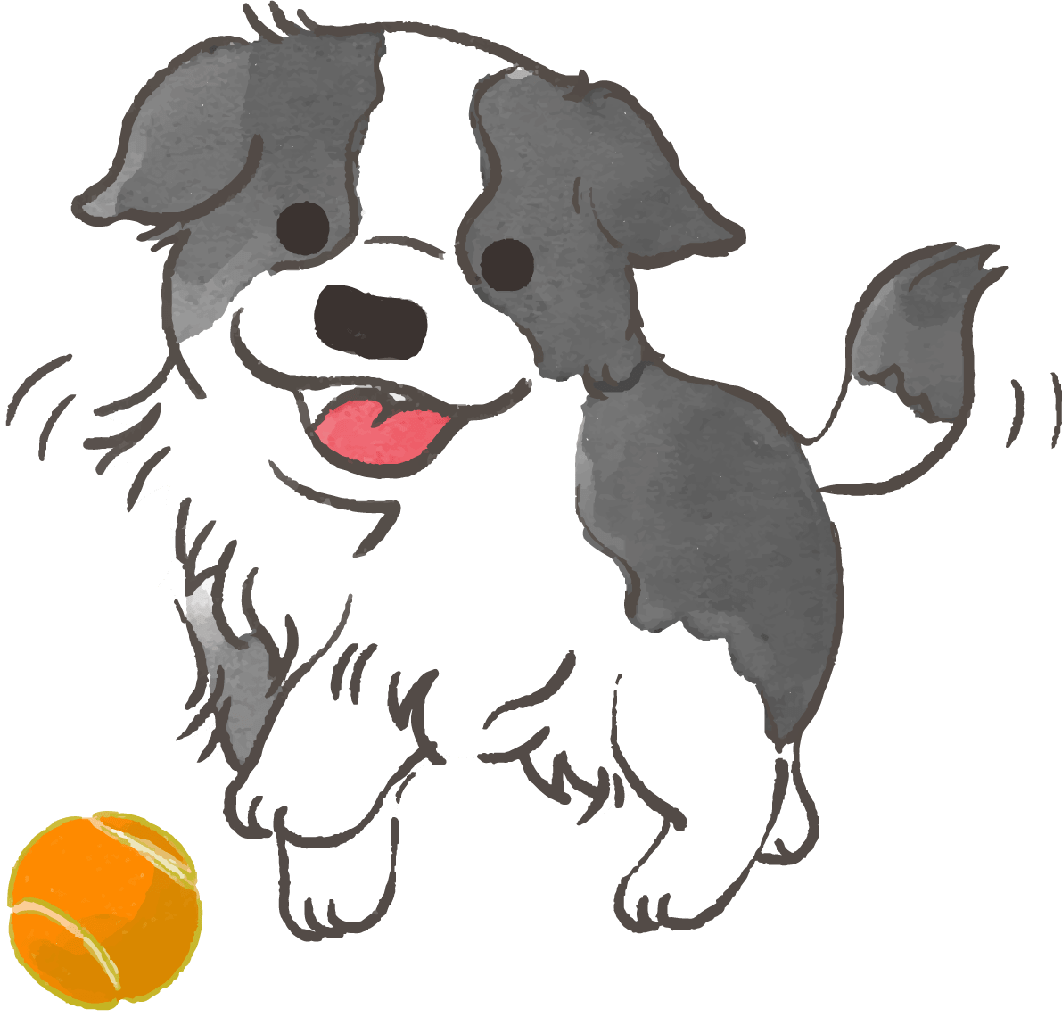 ボーダーコリー子犬 ボールで遊ぶ かわいい犬 イラスト素材 超多くの無料かわいいイラスト素材