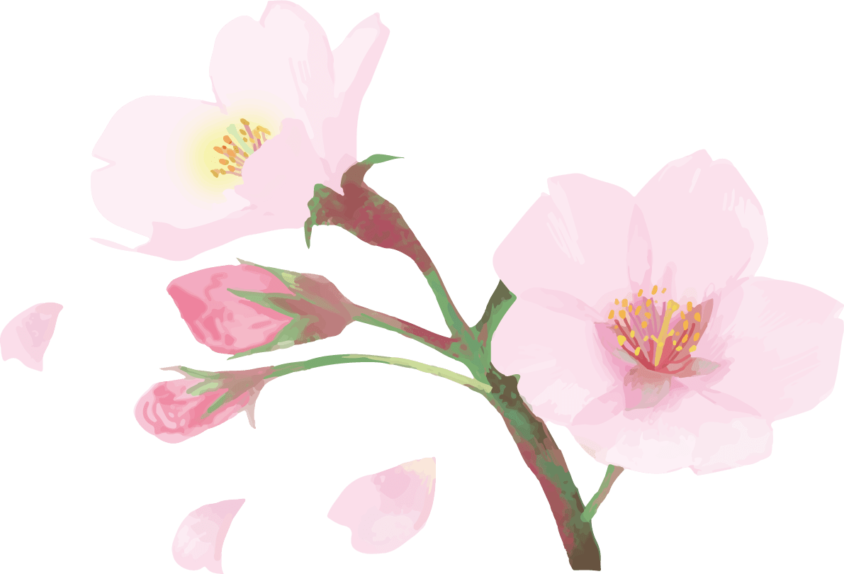 リアル綺麗な桜の枝イラスト散る花びら飾り背景なし 透過 イラスト素材 超多くの無料かわいいイラスト素材