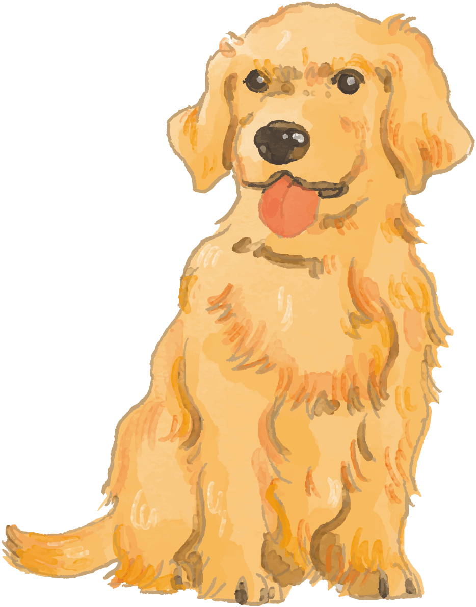 ゴールデン レトリバー 座り姿 子犬 犬のリアルかっこいい イラスト素材 超多くの無料かわいいイラスト素材