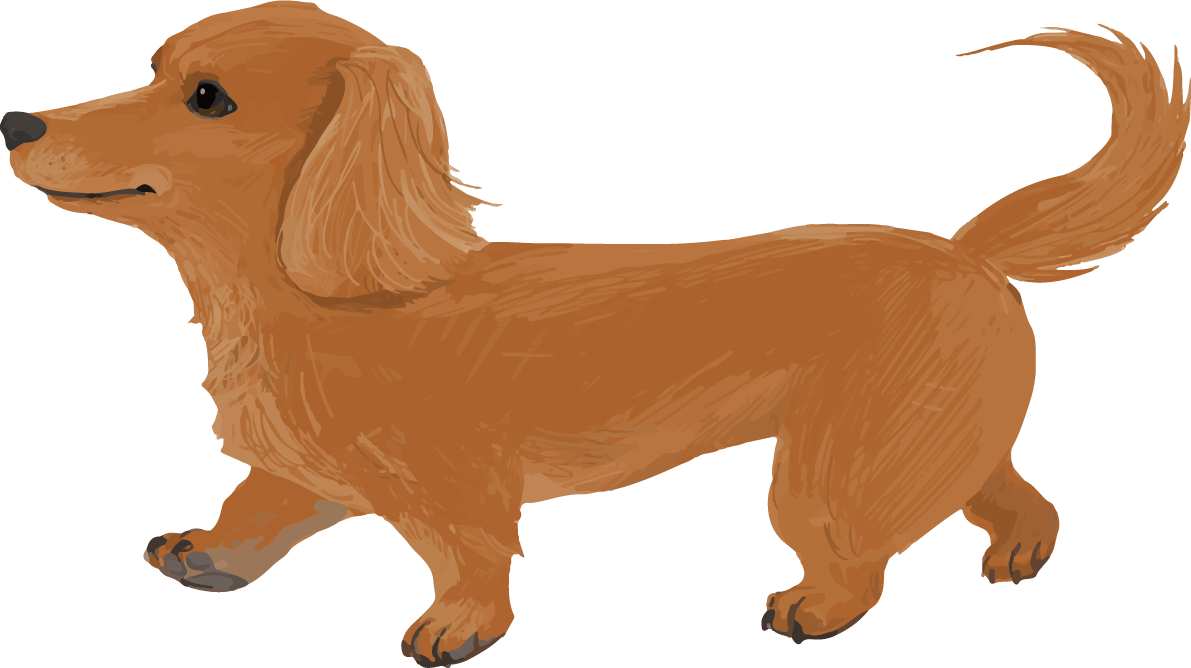 ミニチュア ダックスフンドの歩く リアル犬の手書き風 イラスト素材 超多くの無料かわいいイラスト素材