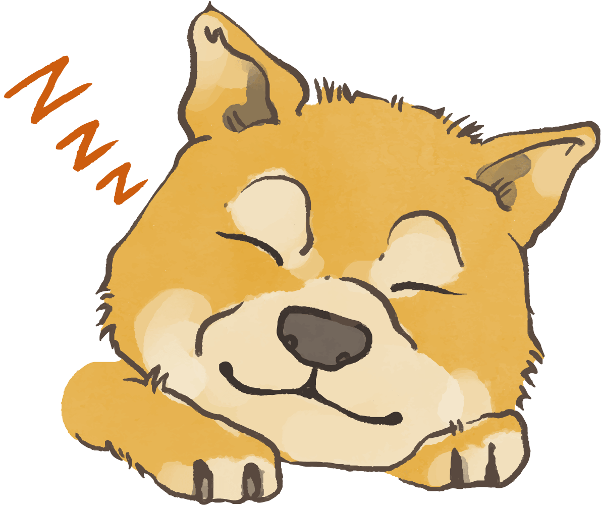 柴犬(寝顔)かわいい犬
