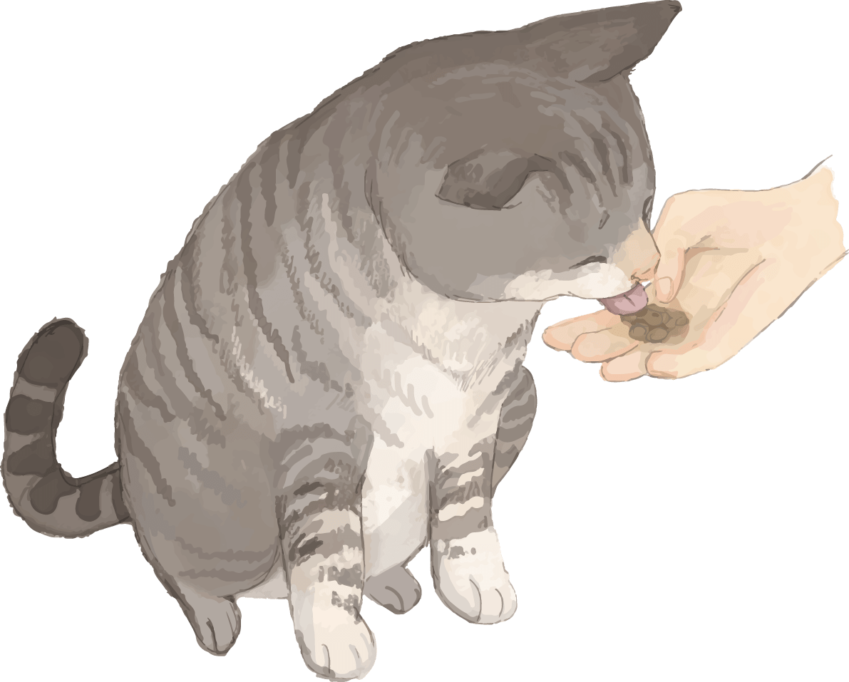 猫(トラ柄の雑種ミックス)おやつを食べる