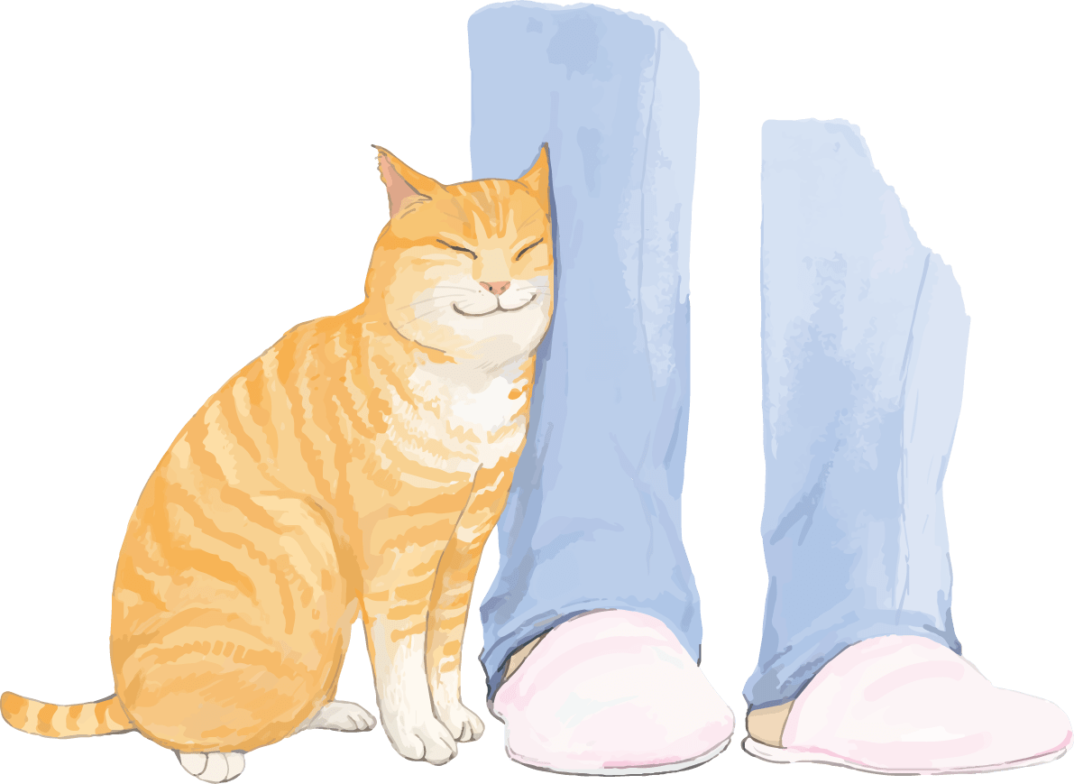 猫(トラ柄の雑種ミックス)足に体をこすりつける