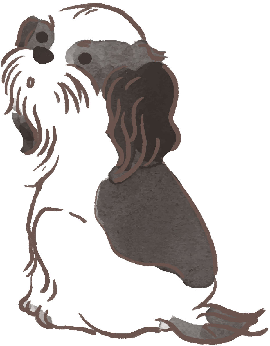 シーズー 振り向く かわいい犬 イラスト素材 超多くの無料かわいいイラスト素材