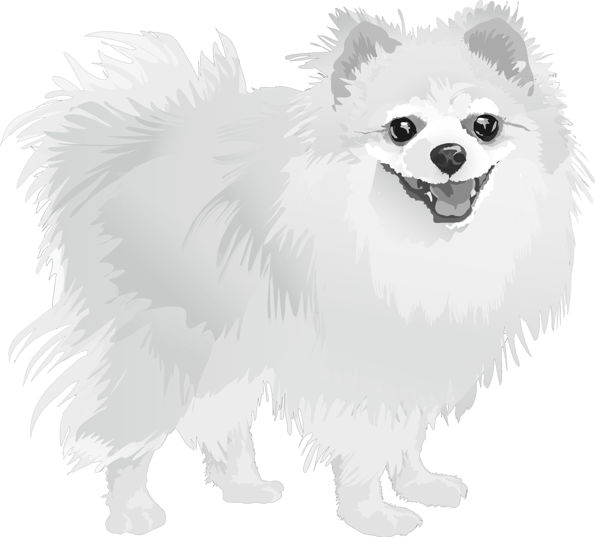 ポメラニアンの白黒モノクロでかっこいい犬 イラスト素材 超多くの無料かわいいイラスト素材
