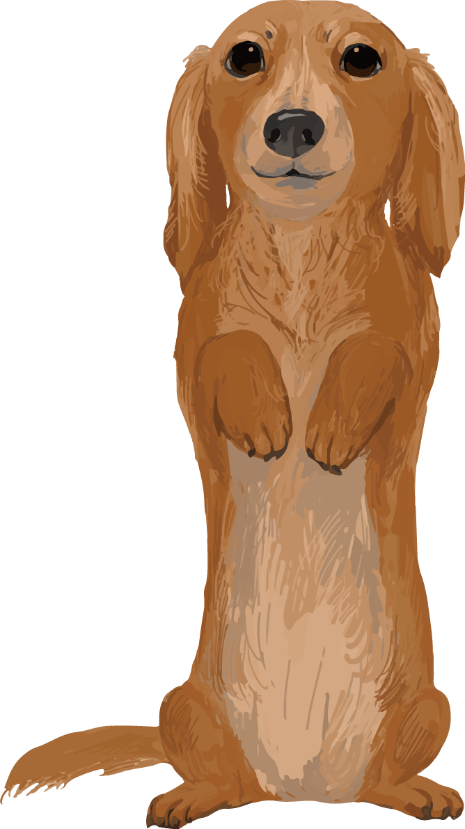 ミニチュア ダックスフンドの立つ リアル犬の手書き風 イラスト素材 超多くの無料かわいいイラスト素材