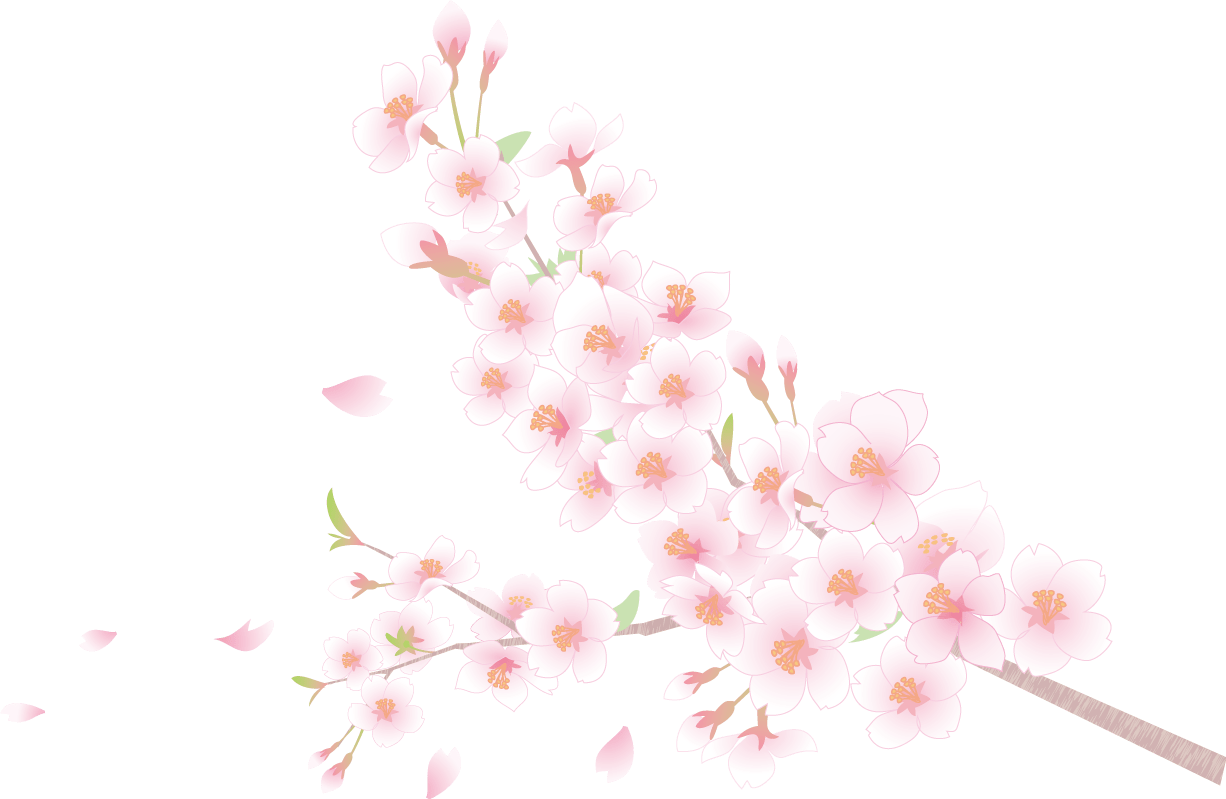 「桜と花びら透過背景なしイラスト(枝アップ)」イラスト素材 - 超多くの無料かわいいイラスト素材