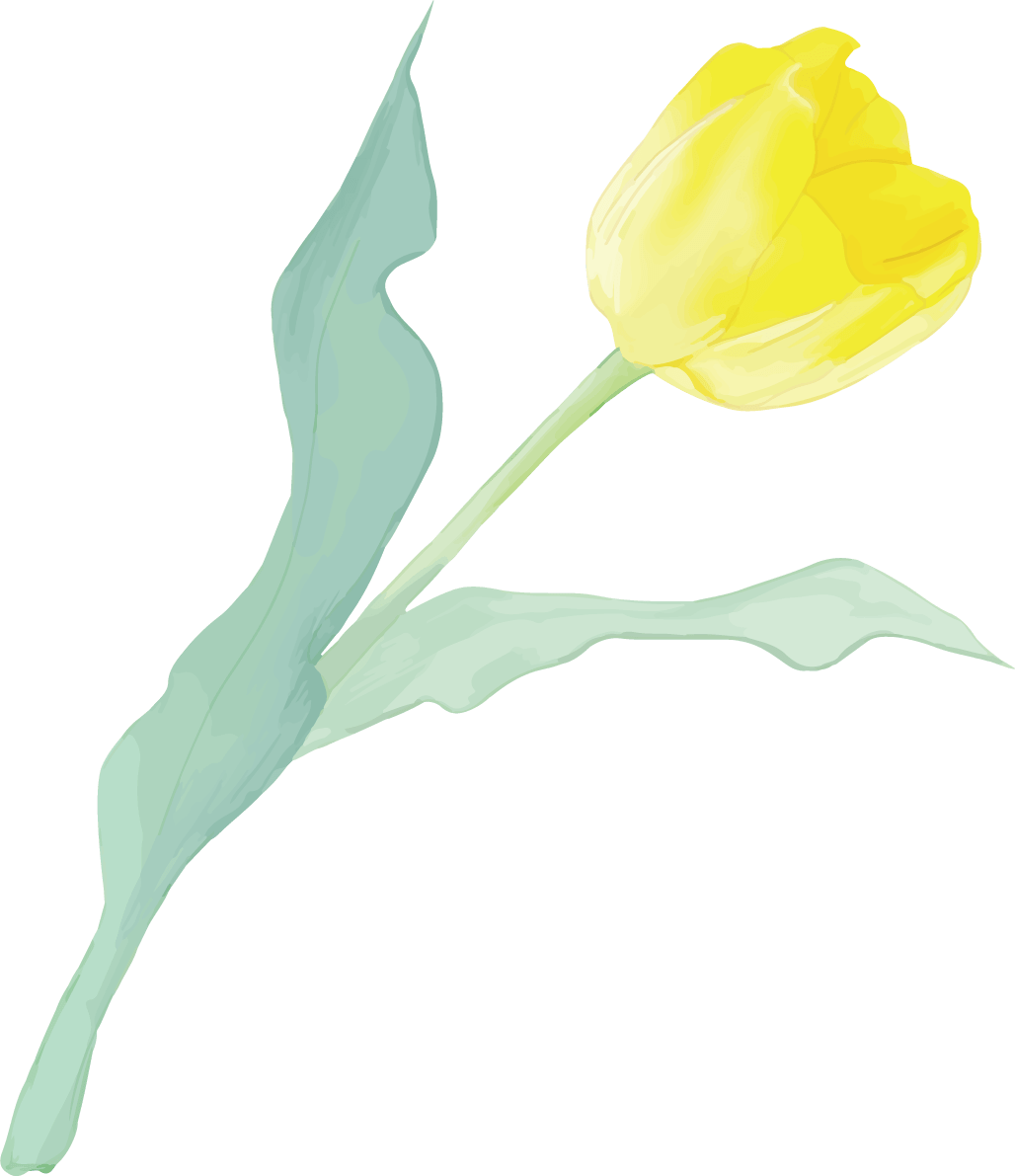 リアル綺麗チューリップイラスト 黄色の花が右に傾き咲く イラスト素材 超多くの無料かわいいイラスト素材