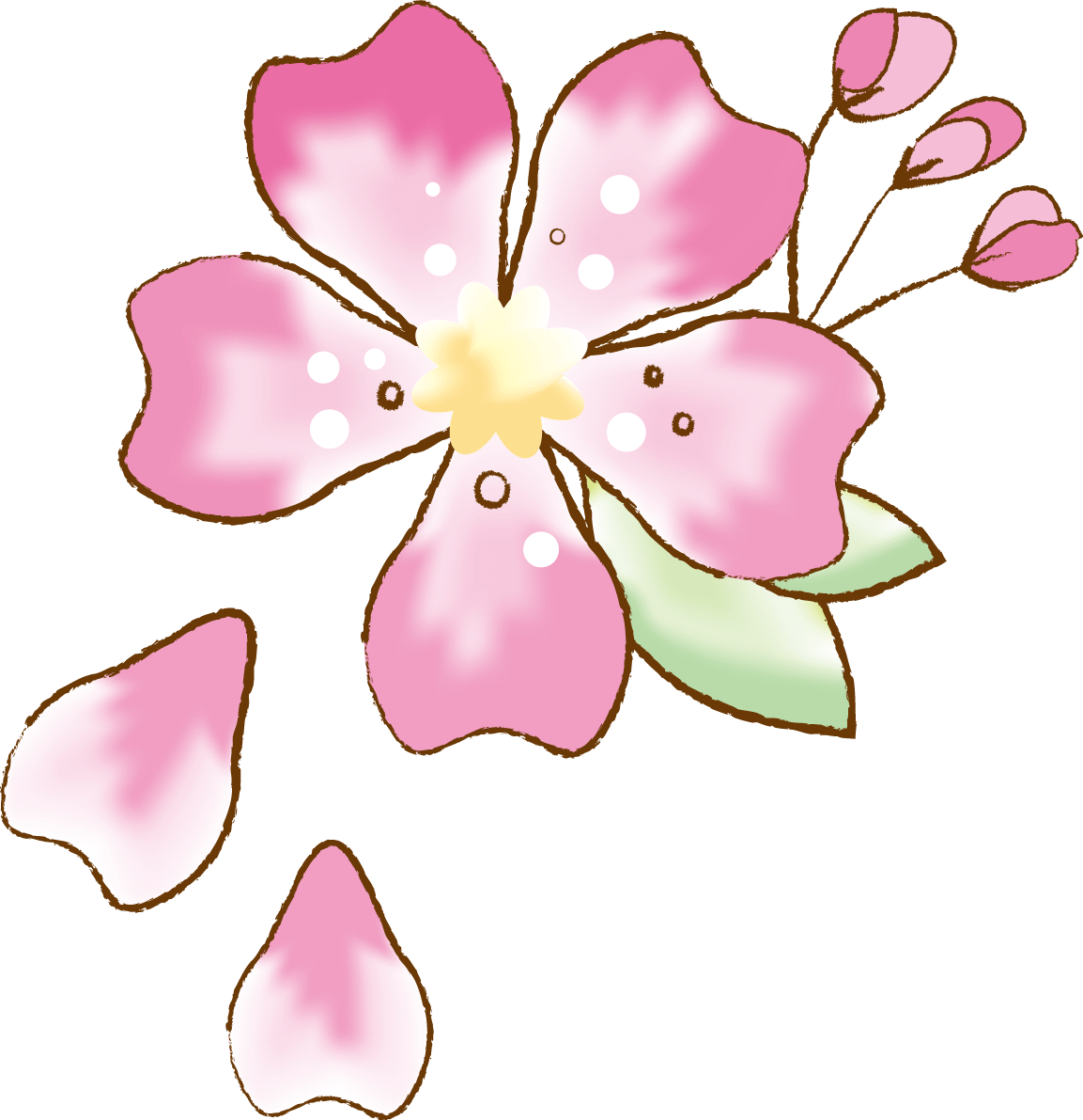 かわいい桜 春の花びらイラスト 水彩 イラスト素材 超多くの無料かわいいイラスト素材