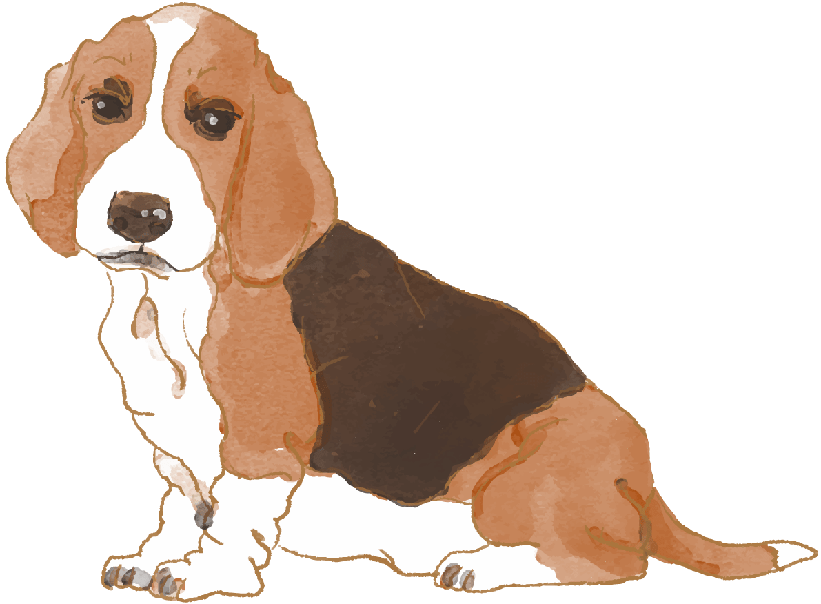 バセット ハウンド 座り姿 犬のリアルかっこいい イラスト素材 超多くの無料かわいいイラスト素材