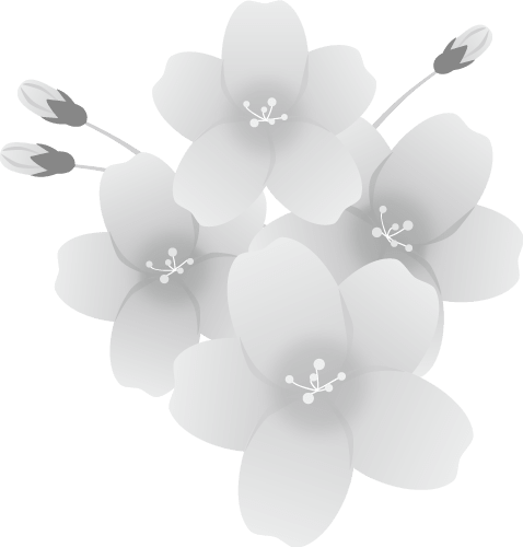 グレースケールの桜-お花-白黒
