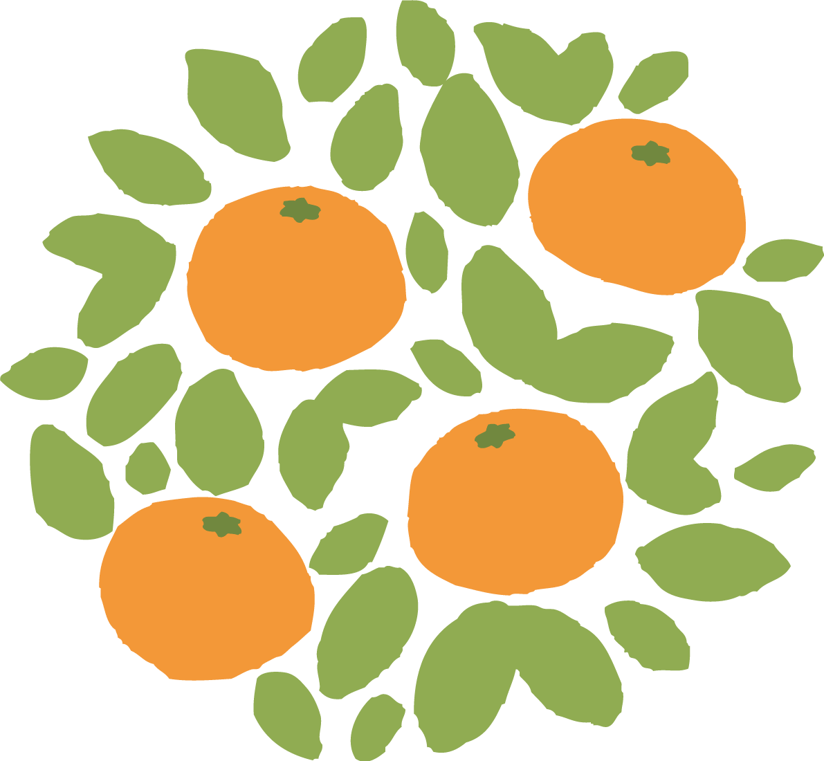 时尚圆状的橘子和叶橘子